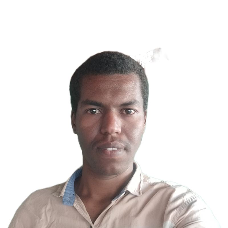 Elsadig Ahmed